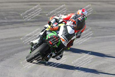 media/Feb-04-2024-SoCal Trackdays (Sun) [[91d6515b1d]]/4-Bowl Backside (11am)/